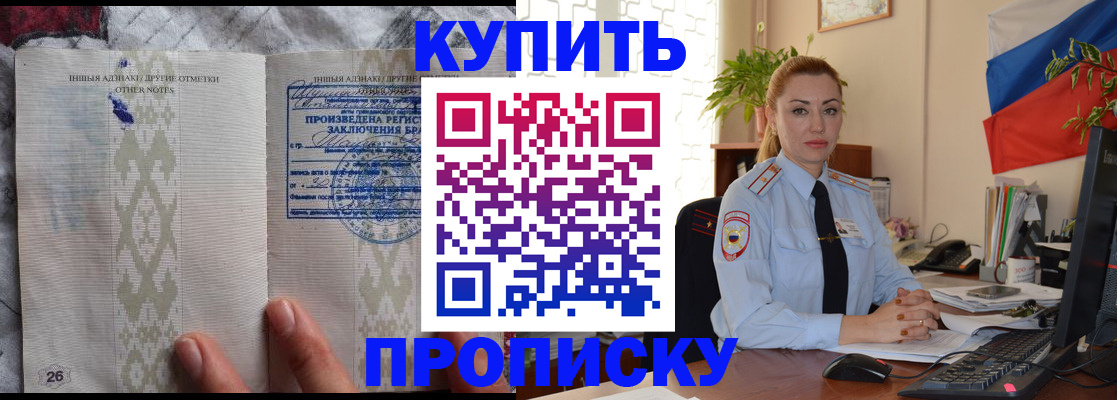 прописка поиск в Купино